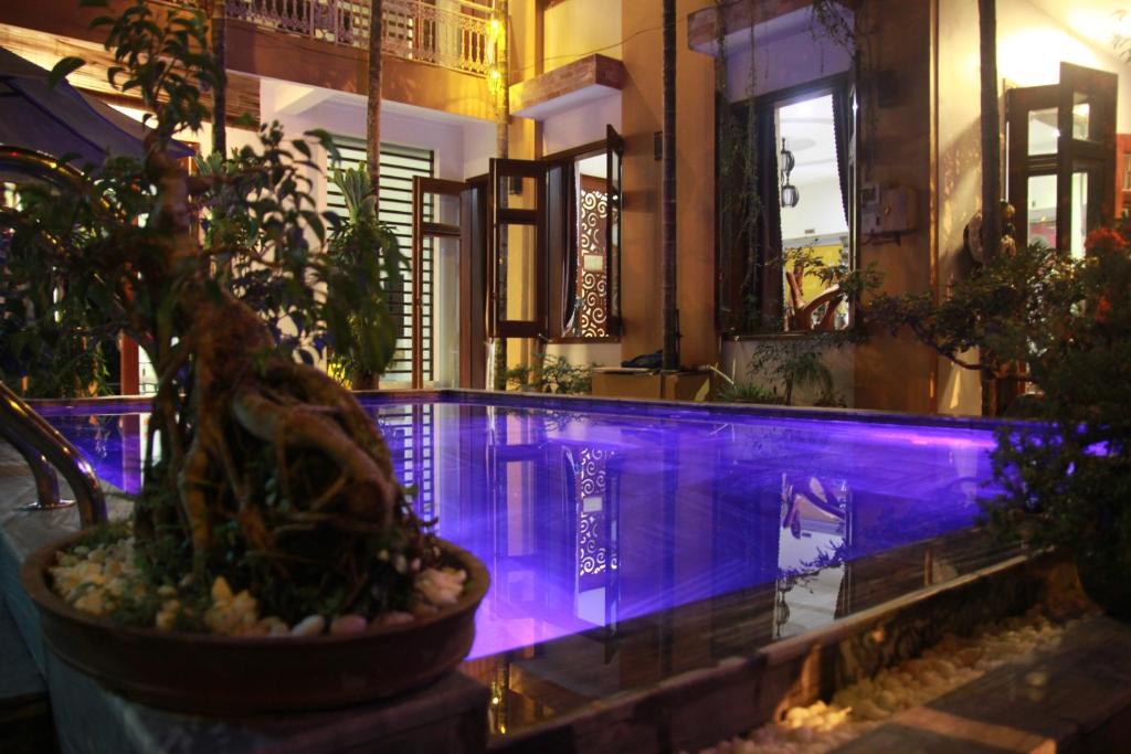 会安会安金马别墅酒店的一座建筑物内一座带紫色照明的游泳池
