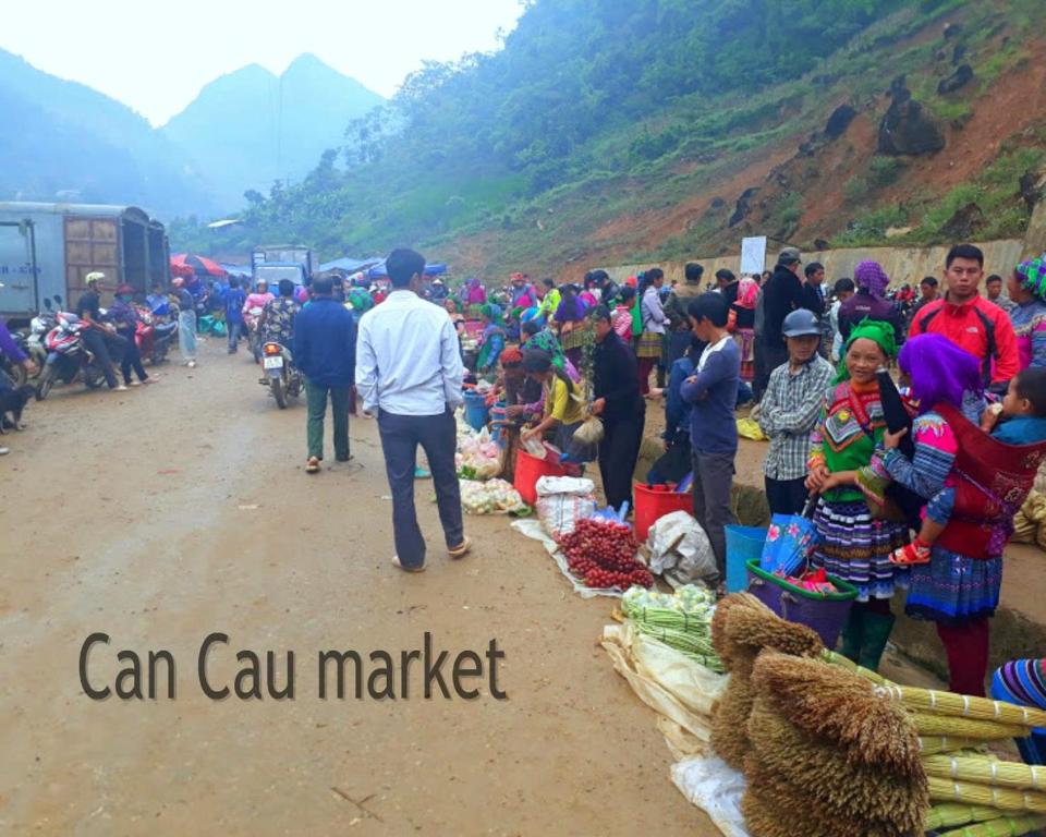 paos house (民宿),北河县(越南)优惠