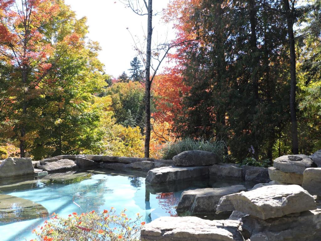 圣阿黛拉Auberge Spa & Beaux Reves的花园内带岩石墙的游泳池