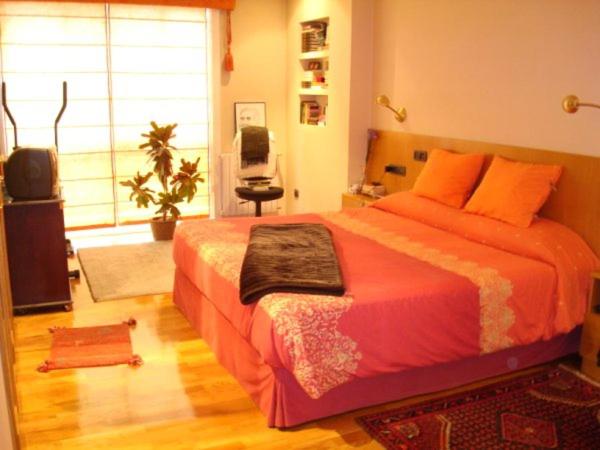 奥伦塞TerevaOurense的一间卧室配有一张大床和电视