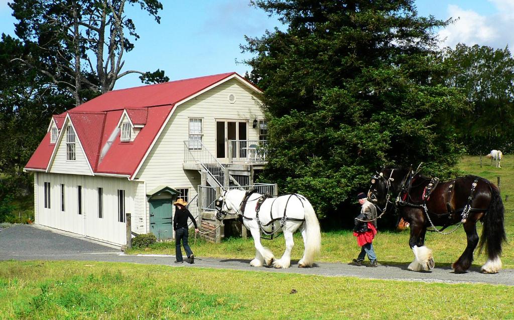 凯里凯里The Carriage House-Bay of Islands的两匹马站在房子前面