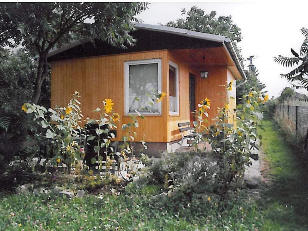 LindigFerienhaus "Eierkuchen"的花园中带窗户的小房子