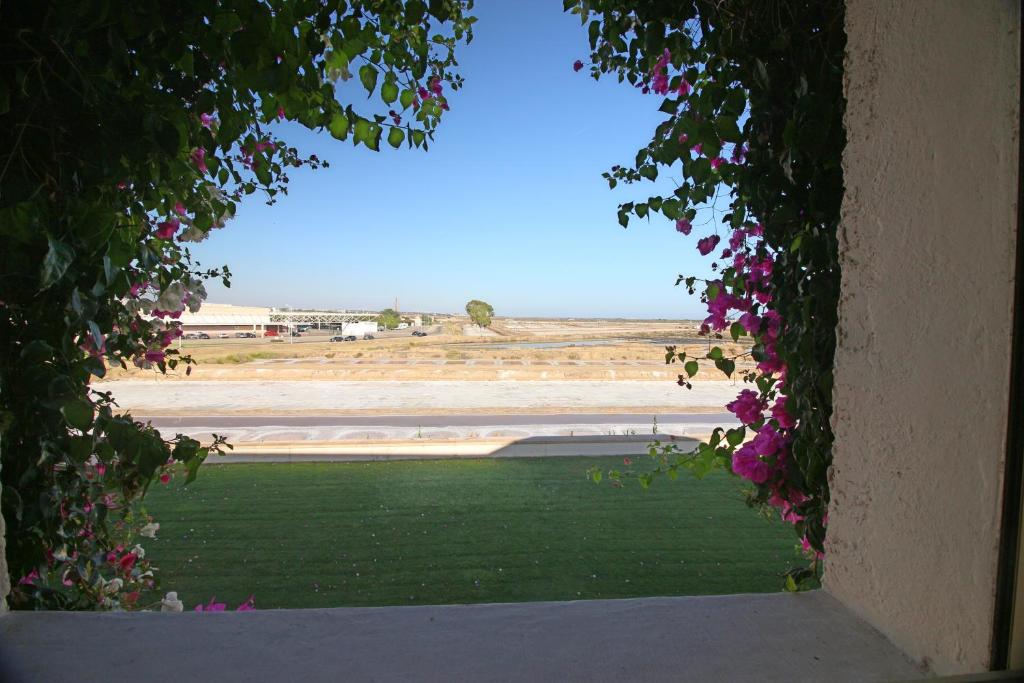 塔维拉Convento das Bernardas的从鲜花窗口欣赏田野景色