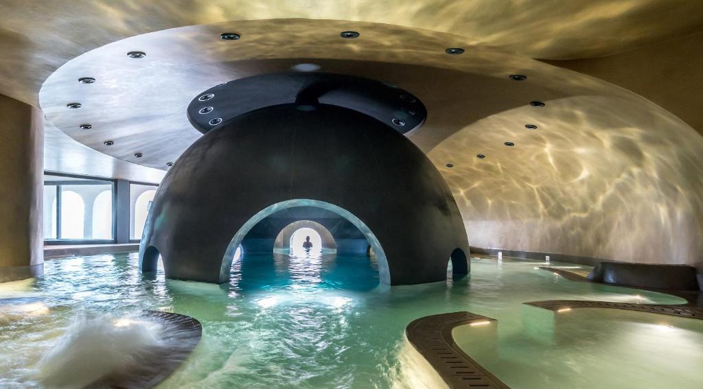 米斯特拉斯欧佛利亚酒店 - 全套设施目的地水疗中心的水中一池海豚