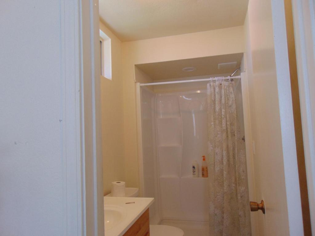 科纳奥哈纳哈雷度假屋的带淋浴、卫生间和盥洗盆的浴室