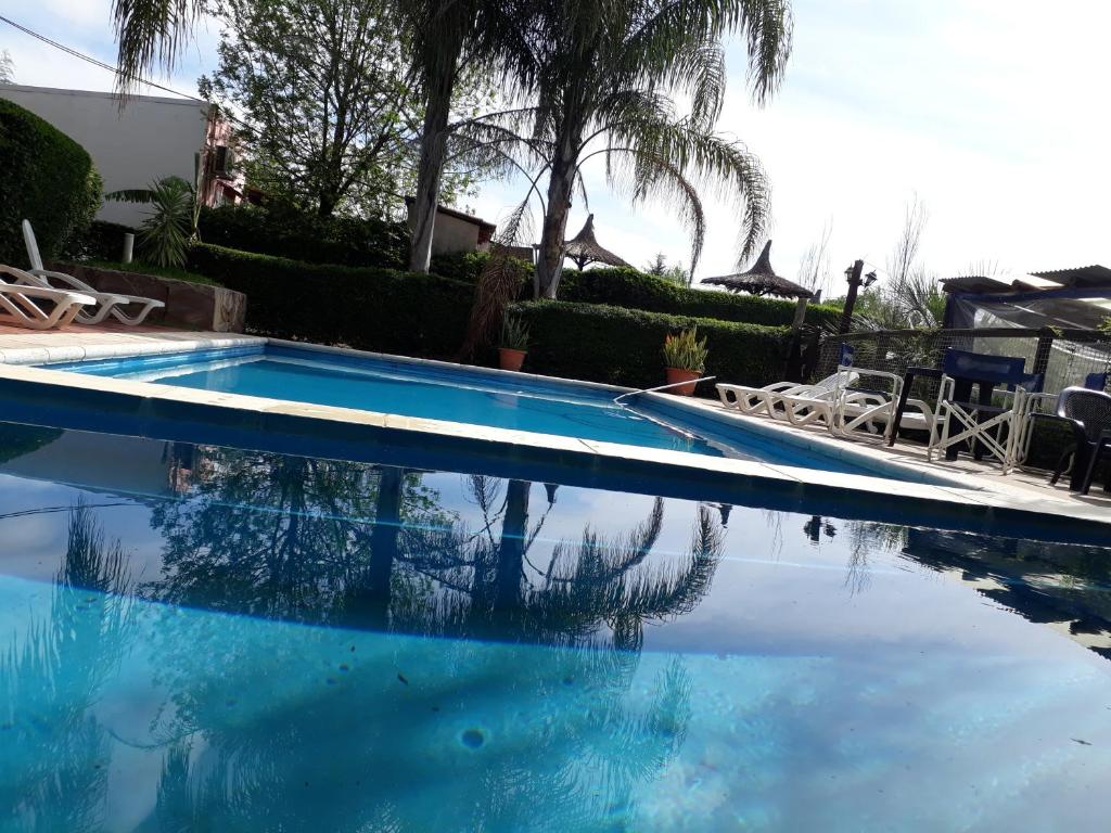 科隆Paraiso Colon的一座拥有蓝色海水和棕榈树的游泳池