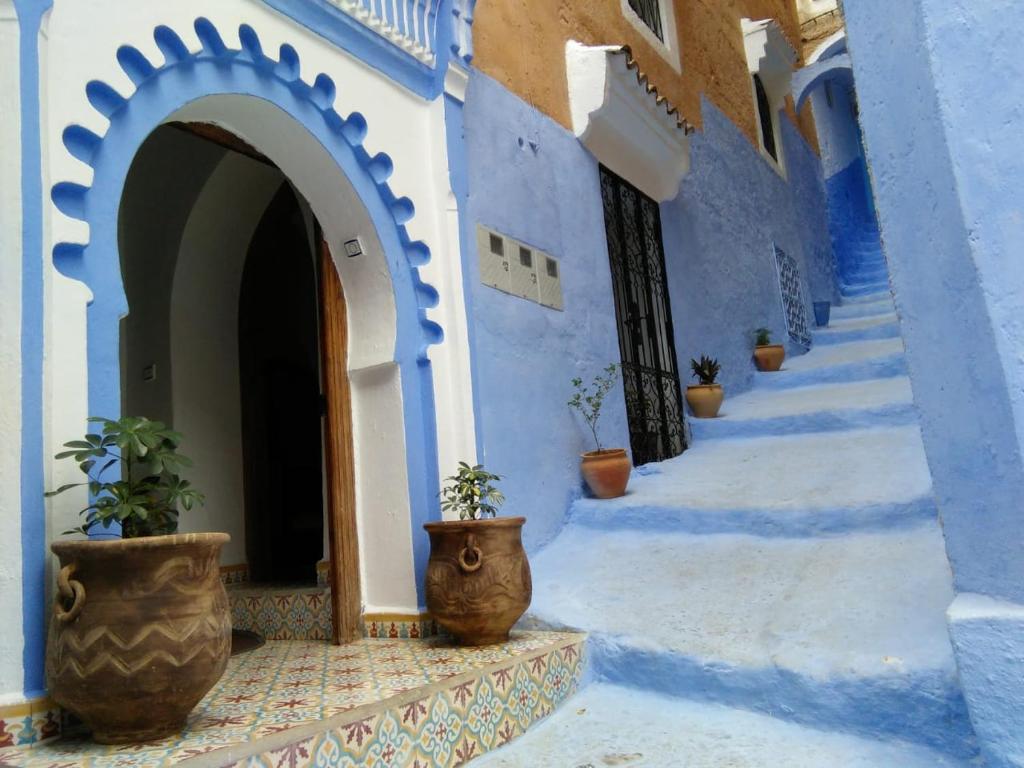舍夫沙万dar solaiman的蓝色建筑的走廊,有盆栽植物