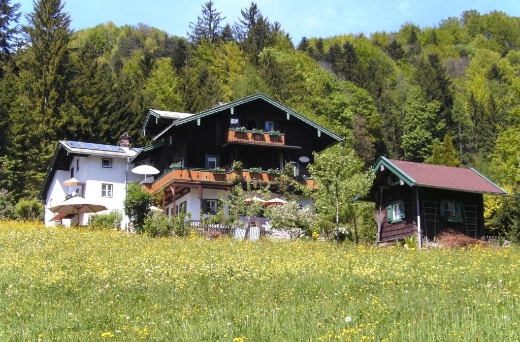 贝希特斯加登Villa Aldefeld的山边有田的房屋