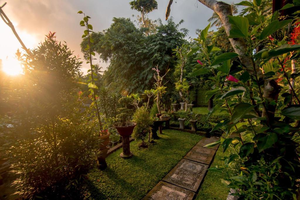 乌布乌布文斯住宿加早餐旅馆的拥有绿色植物和阳光的花园