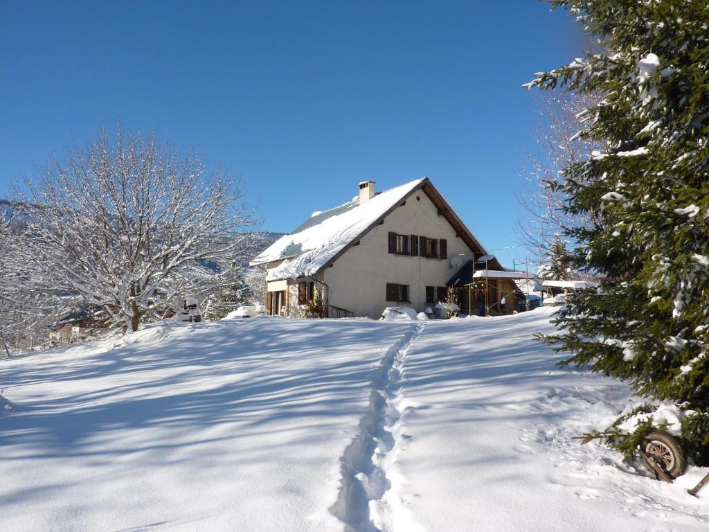 Saint-Nizier-du-MoucherotteGîte des Gorges du Bruyant的一条雪覆盖的道路通向房子