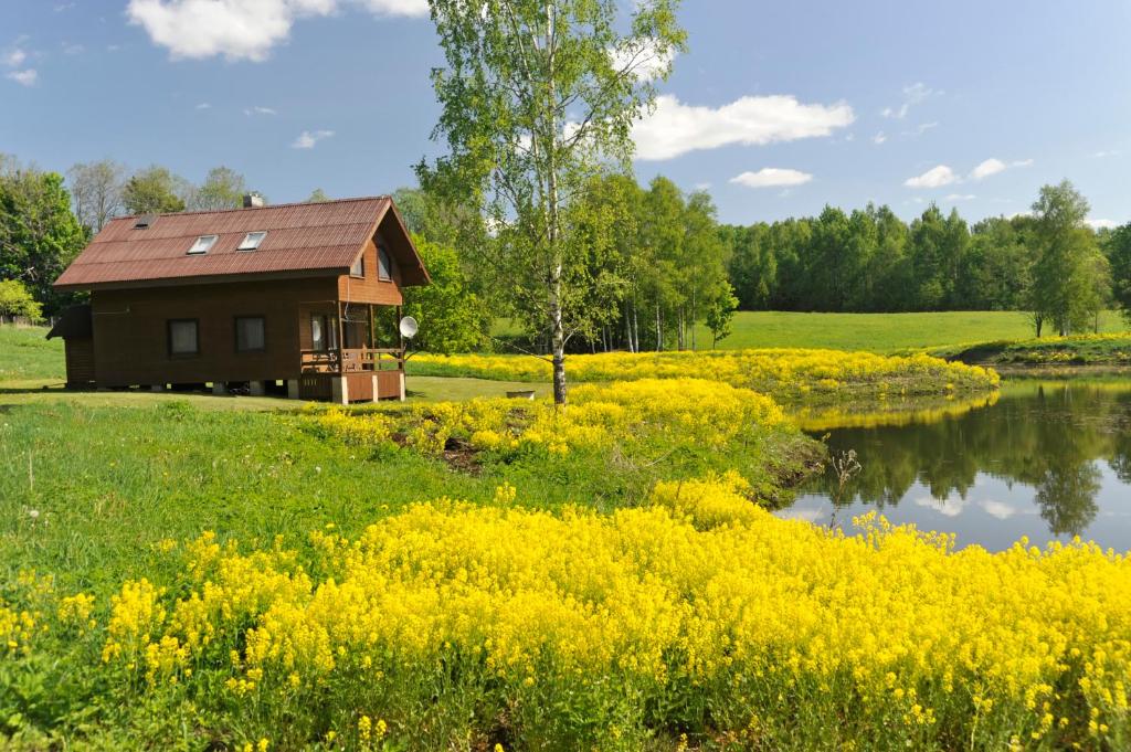 SidrabiņiAtpūtas vieta Upes Sausītes的黄色花田中的一个小房子