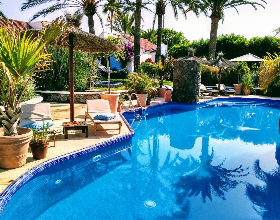 英格兰海滩Birdcage Gay Men Resort and Lifestyle Hotel的一个带椅子和棕榈树的大型蓝色游泳池