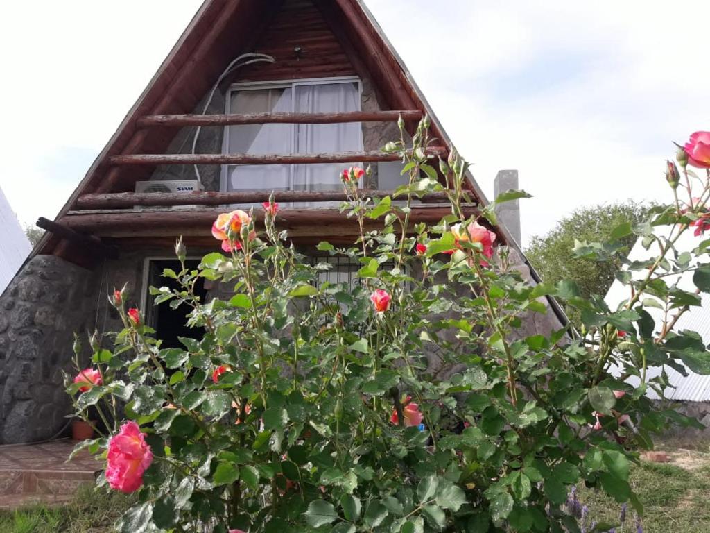 圣奥古斯汀镇Cabañas Laukan的一座带窗户的房子和玫瑰树丛