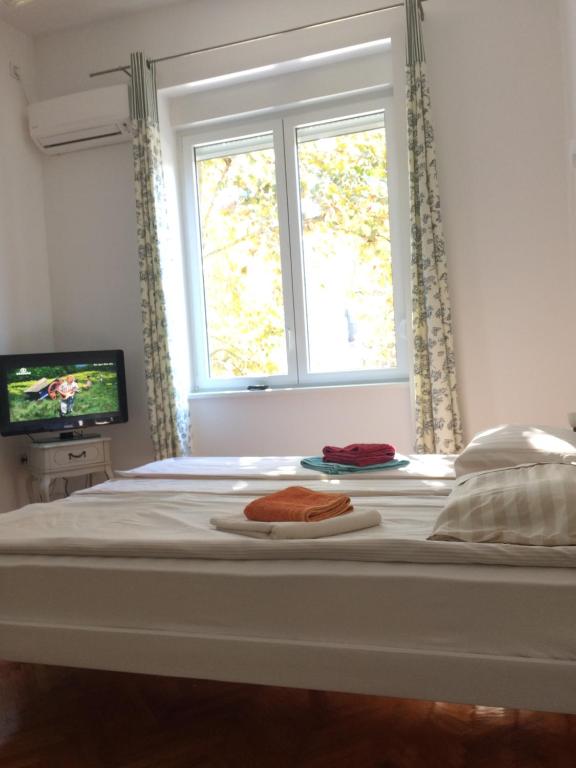 贝尔格莱德Cricket Park Hostel的一间卧室配有一张带窗户的床和一台电视
