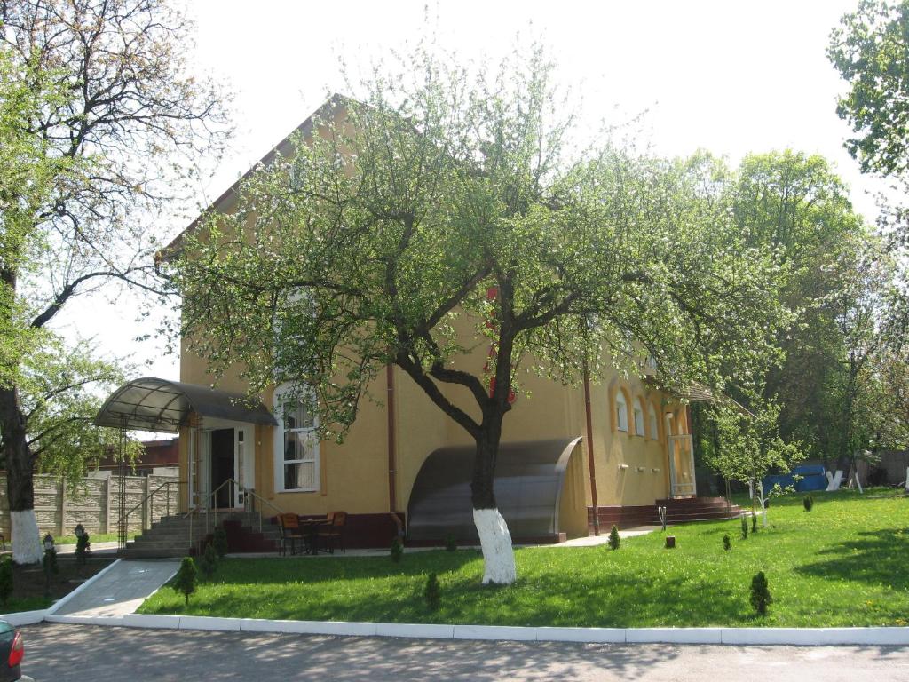 切尔诺夫策尊贵俱乐部酒店的前面有棵树的建筑