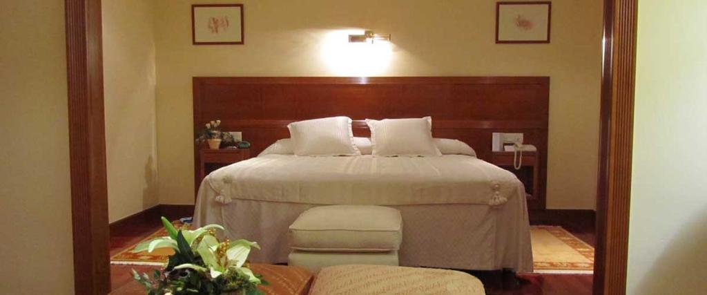 埃尔巴科-德阿维拉Bellavista的一间卧室配有一张大床和木制床头板