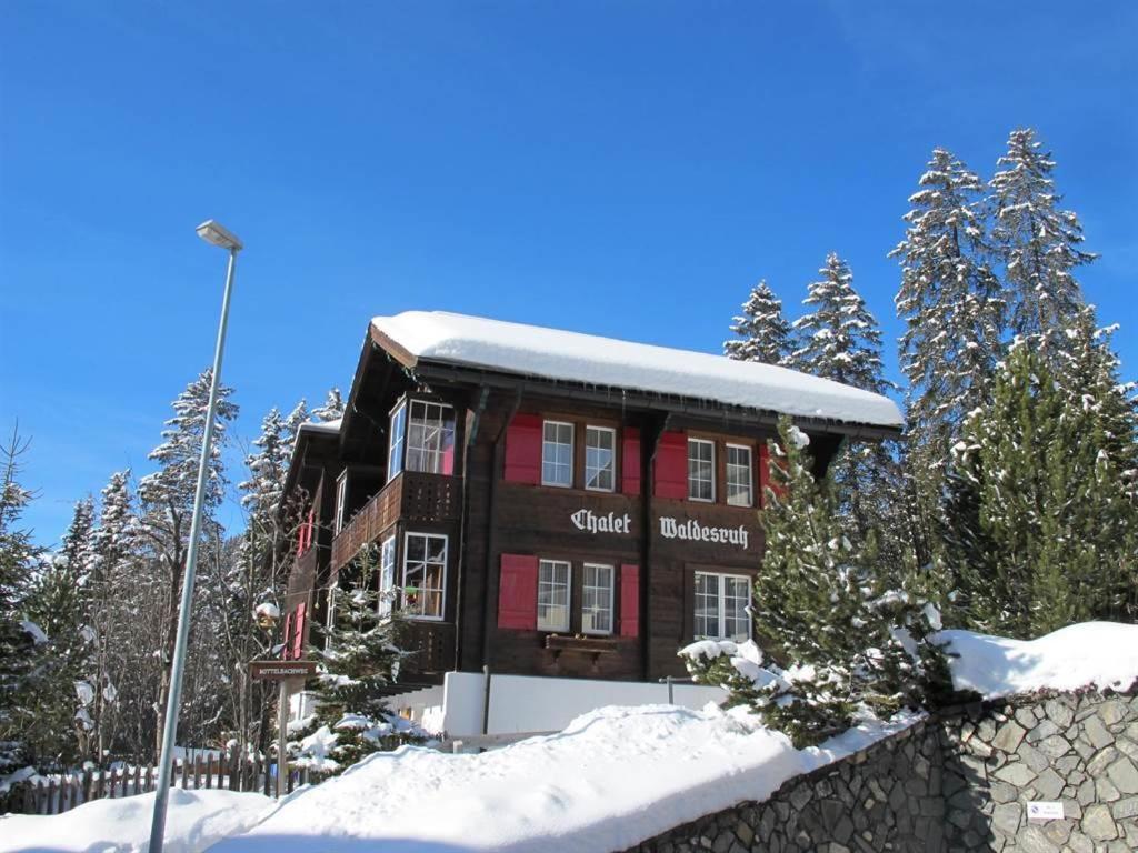 阿罗萨Chalet Waldesruh 3 Zimmerwohnung的上面有雪的建筑