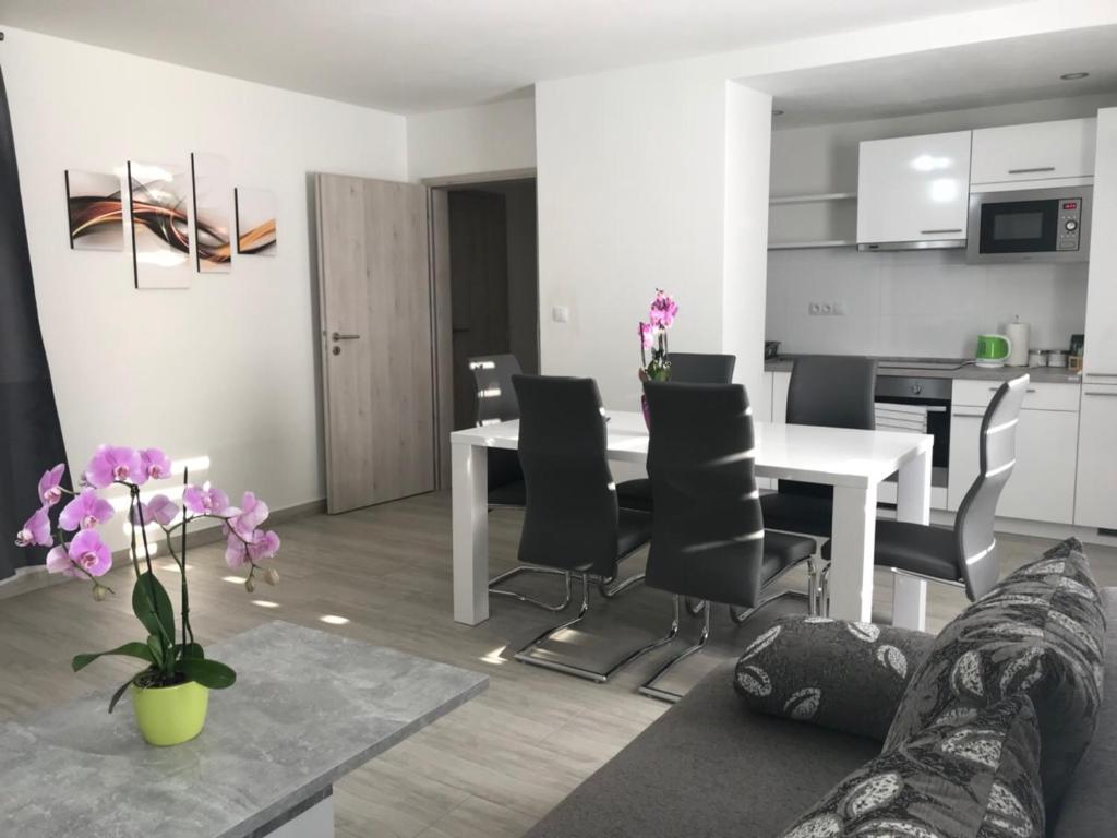 卡罗维发利Panorama Apartments的一间带桌椅的客厅和一间厨房