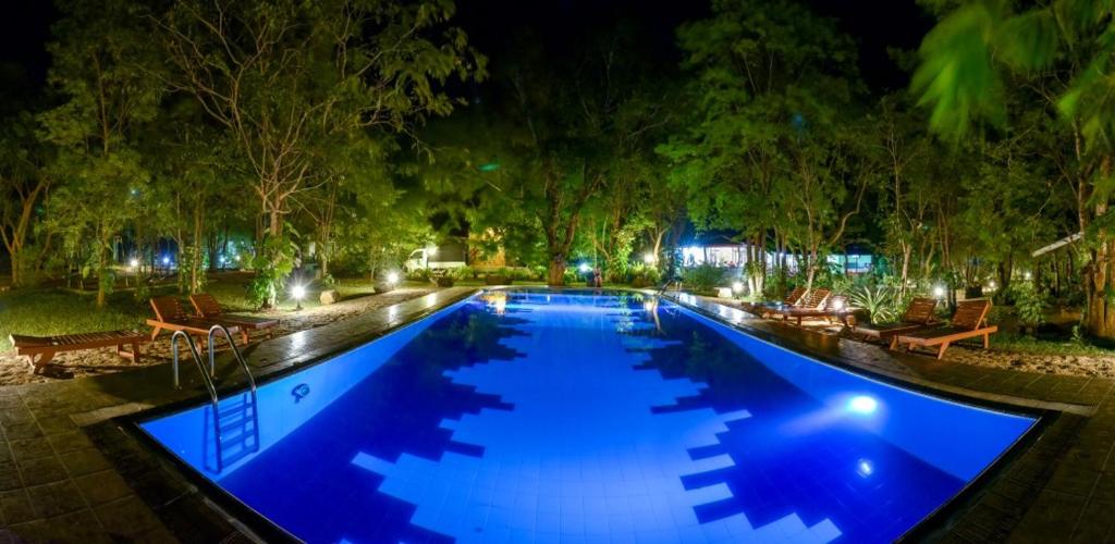 哈伯勒内蓝鸟旅游度假酒店的夜间蓝色海水的大型游泳池