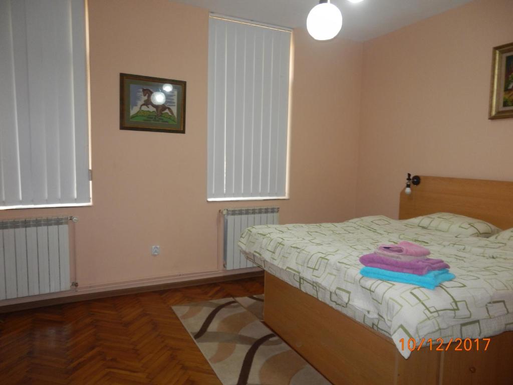 蒂米什瓦拉Apartament la casa (2 camere)的一间卧室设有一张床和两个窗户。