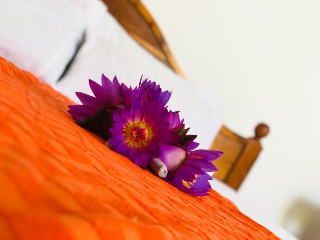 马特勒Samanala Resort的橙子顶上的紫色花