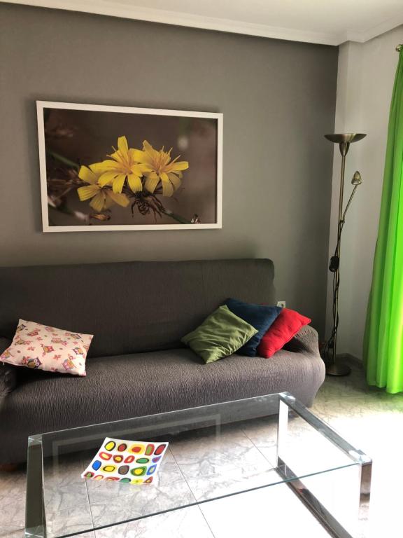 哈恩Peso de la Harina - piso completo的客厅配有沙发和墙上的照片