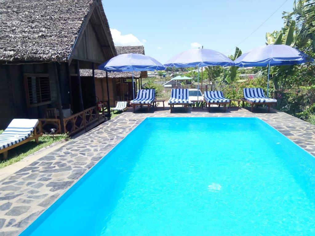 贝岛Bungalows des tropiques的一个带蓝白色椅子和遮阳伞的游泳池