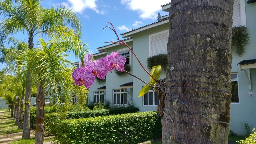 朱奎Casa Condominio Fechado Total Segurança - Juquehy的棕榈树和紫兰兰花的房子