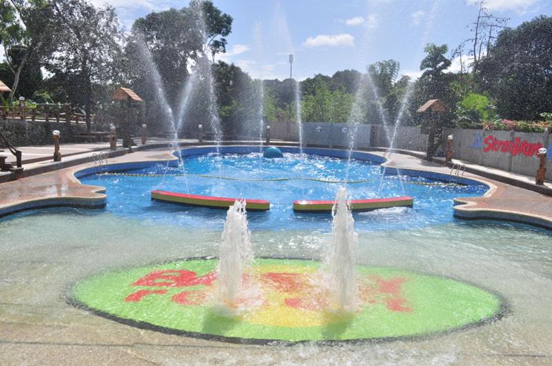 安蒂波洛Bosay Resort的公园里水塘里的喷泉