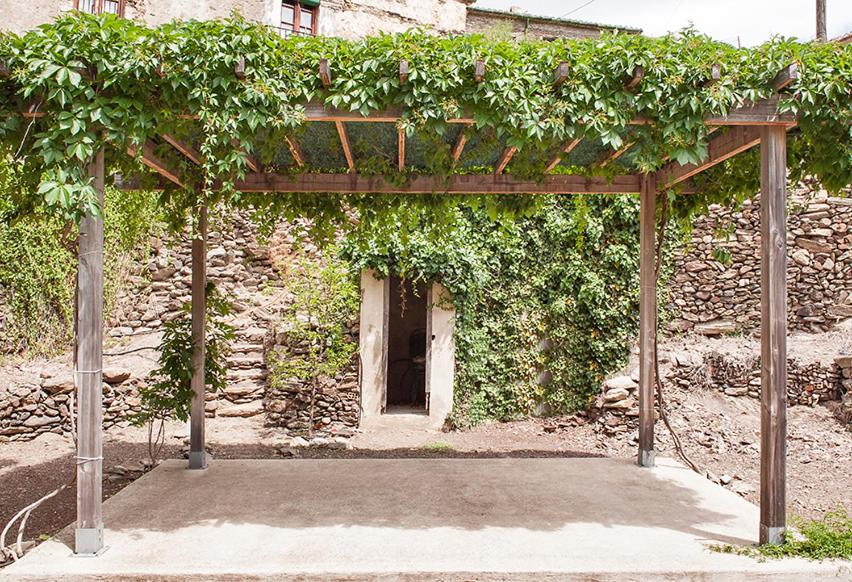 La Vall de Santa CreuCAN BALDIRET的种植葡萄的木结构