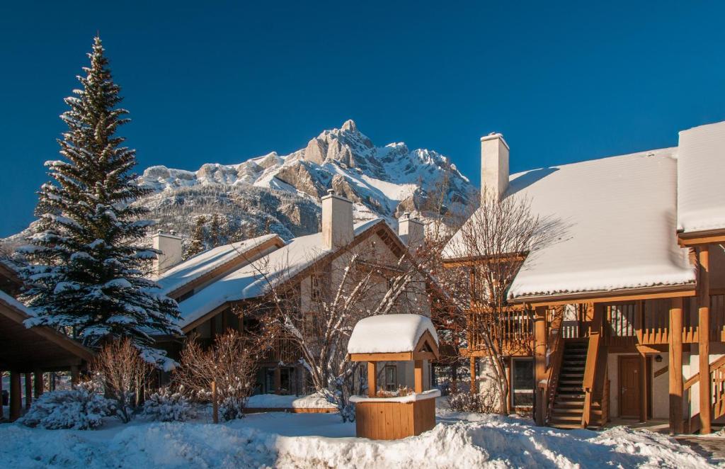 山景或在酒店看到的山景