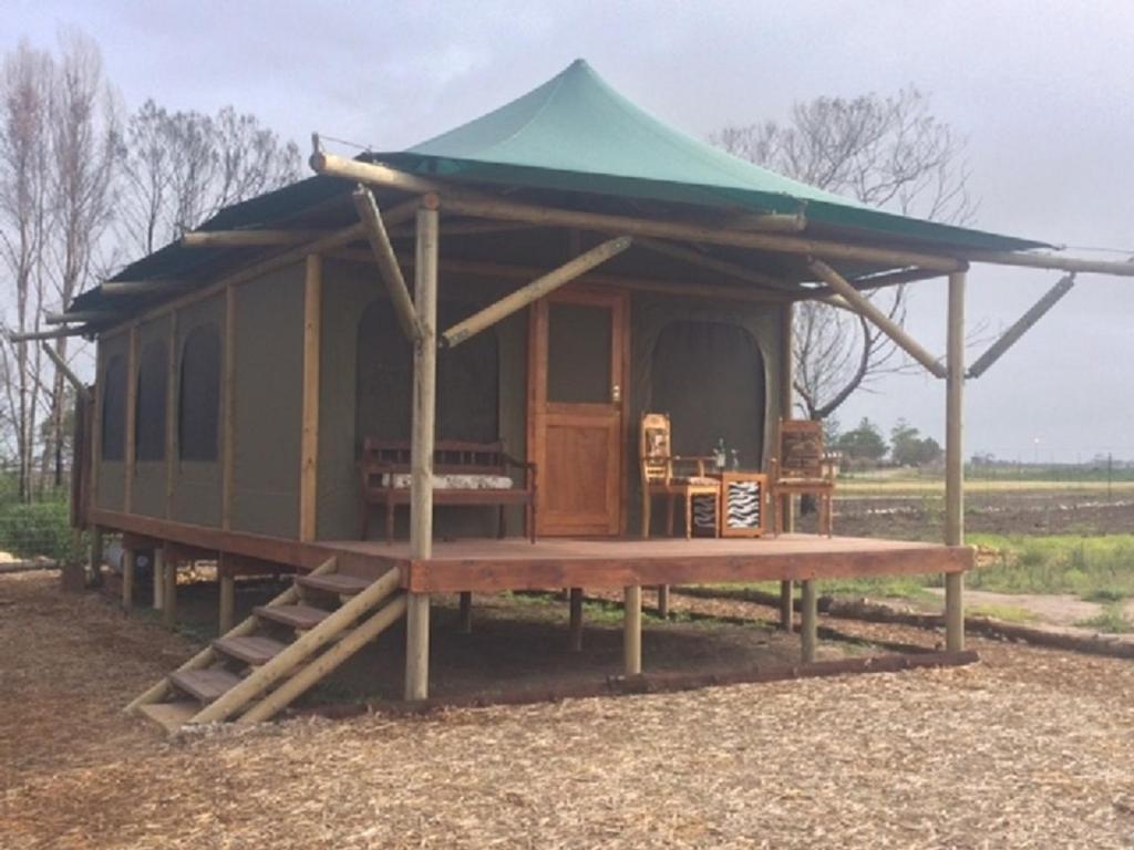 普利登堡湾Hillcrest Lodge Tents - Sandstone的一间设有绿色屋顶和桌子的小小屋