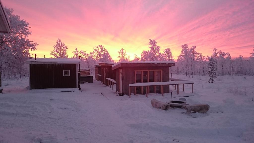 基律纳北极美食山林小屋的站在建筑物旁边的雪地里的几个动物