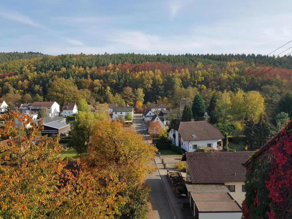 FischbachLandgasthaus Klosterhof的秋天小镇的空中景观