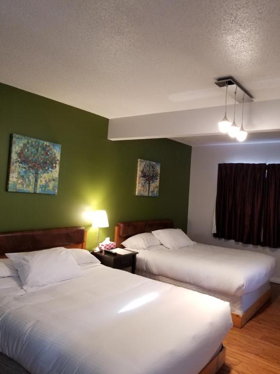 SundreSun Plaza Motel的绿墙旅馆客房的两张床