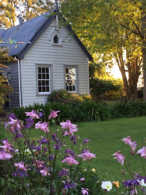 蒂阿瓦穆图老学校乡村民宿的院子里的白色房子,鲜花盛开