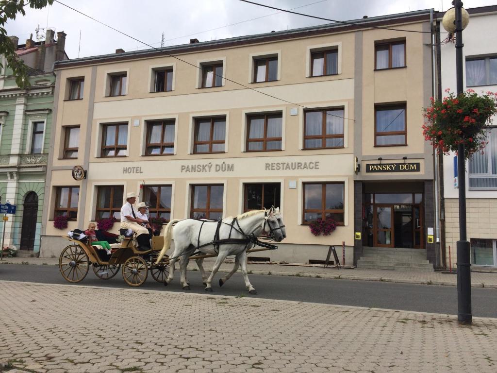 Blovice庄园酒店的楼前街道上的马车