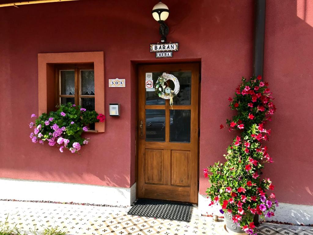 普雷绍夫Ubytovanie Meba的红色的建筑,有木门和鲜花