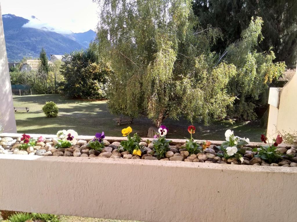 阿热莱斯加佐斯特Les Berges Du Gave D'azun的花卉花墙上的花园