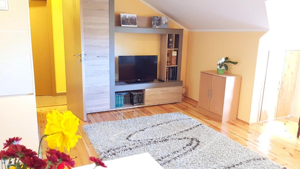 兹拉蒂博尔Zlatibor Apartmani DM Tornik的一间带电视和地毯的客厅