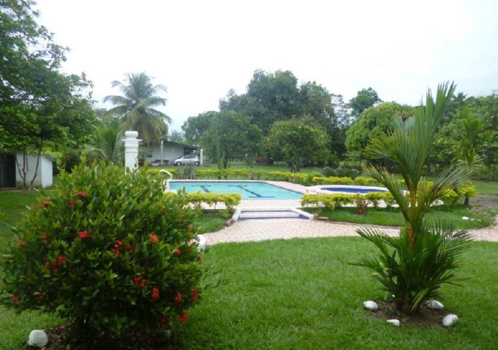 Granja El HachónFinca Campestre con Piscina en Villavicencio的一个带游泳池和一些植物的庭院