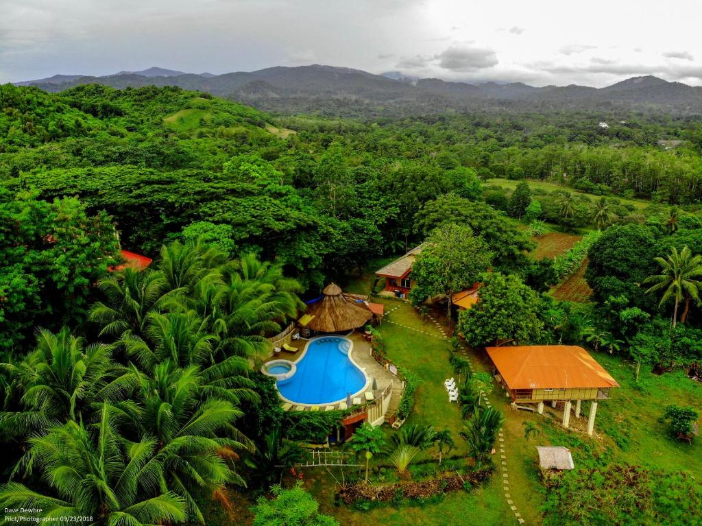 公主港哈姆拉丛林度假村的享有带游泳池的度假村的空中景致