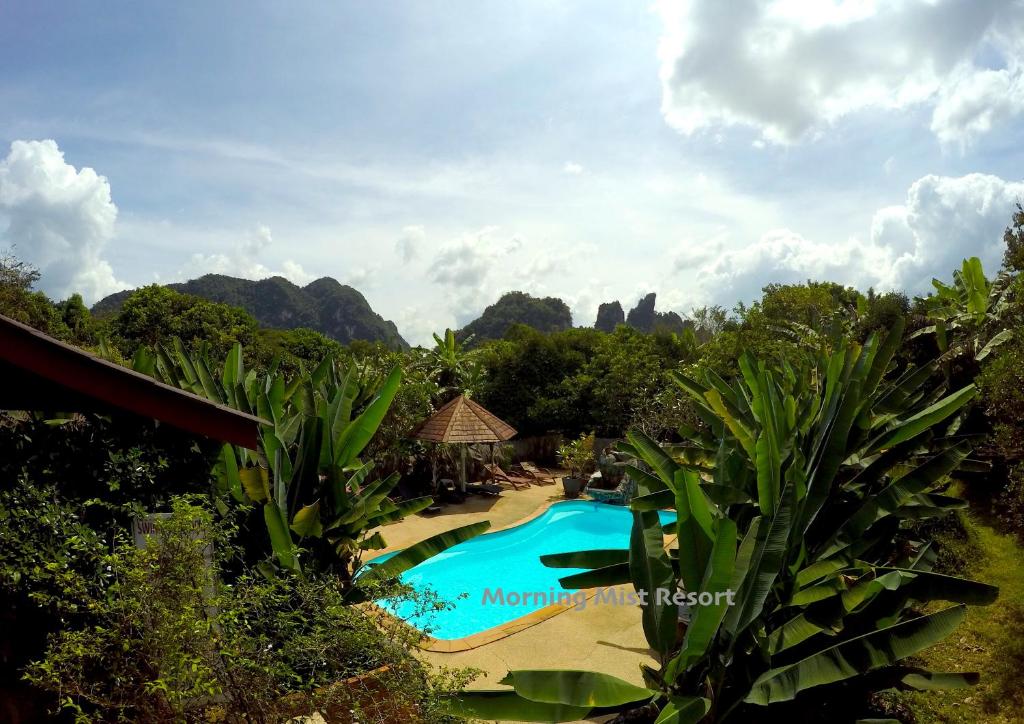 考索考索晨雾度假酒店的享有度假村游泳池的景致。