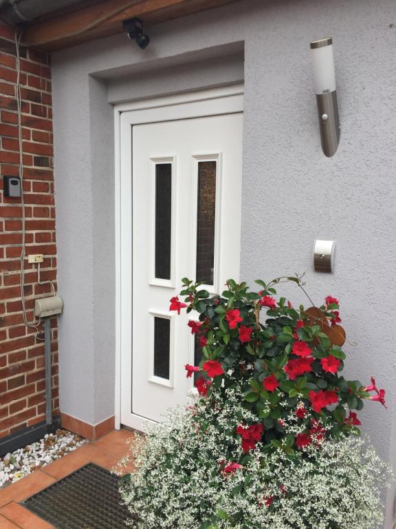 维斯马Haus 32的白色的大门,有红花丛
