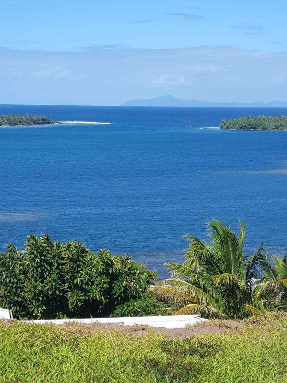 乌图罗阿Faré Mahi Mahi的享有一大片水景