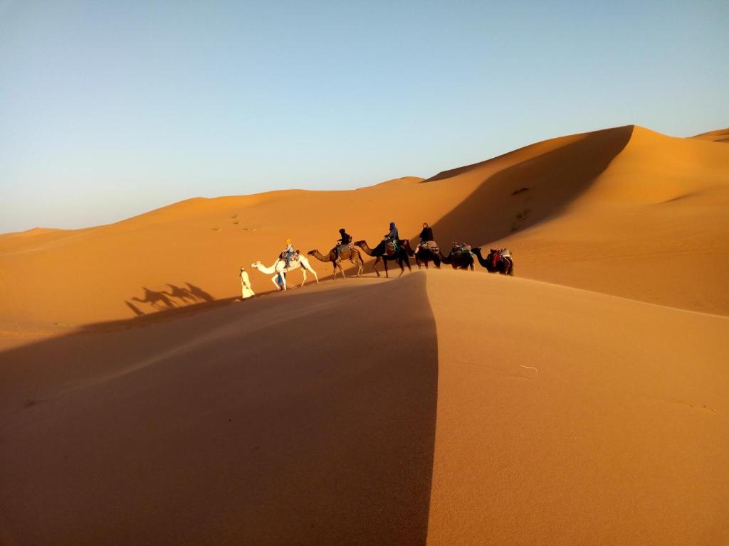梅尔祖卡骆驼之家住宿加早餐旅馆的一群在沙漠里骑马的人