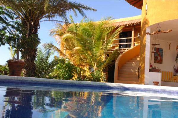 El YaqueStevieWonderLand Playa El Yaque的棕榈树屋前的游泳池