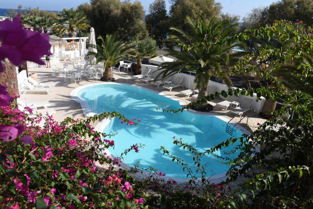 卡马利Arion Bay Hotel的棕榈树和粉红色花卉度假村内的游泳池
