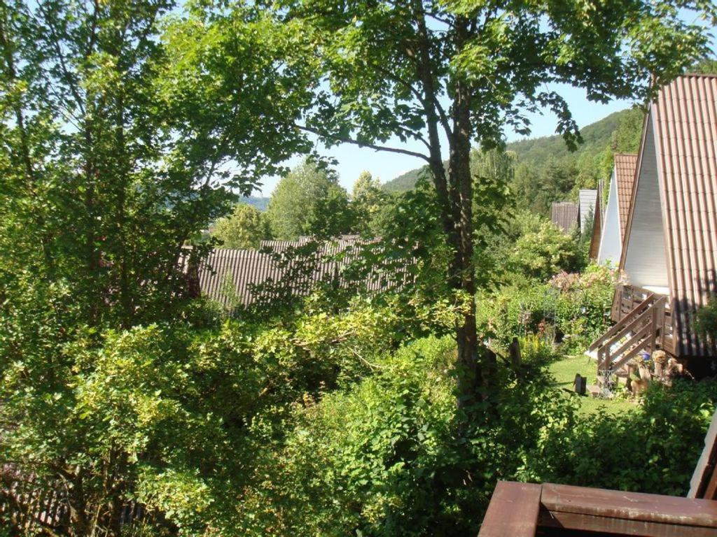 金丁Ferienhaus 32的享有带树木和长凳的庭院的景色