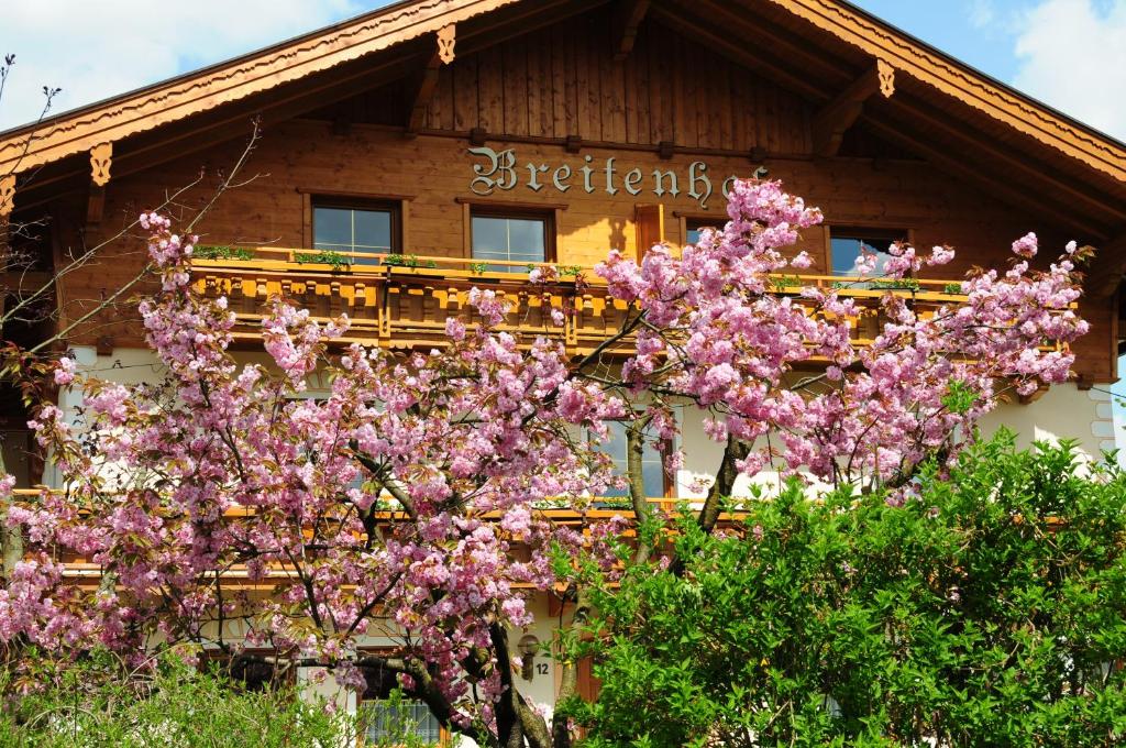 AngathBreitenhof - Haus Breiten的前面有一棵树,花粉红